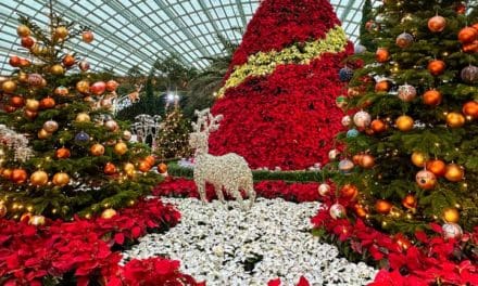 Festive Fun Blooms at the Gardens