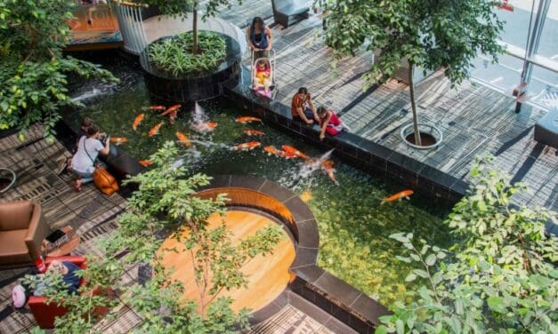From Toilets to Towers: How Changi Airport is Saving Water by the Pool-load