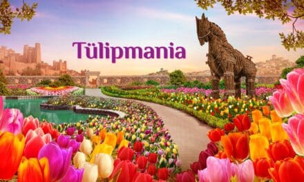 Tulipmania 2025: Tracing the Timeless Bloom from Türkiye to Singapore
