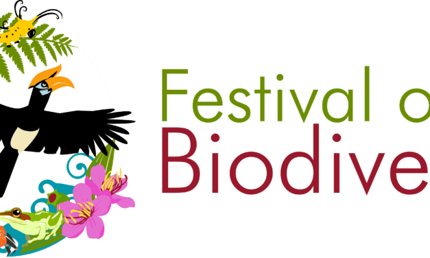 Festival of Biodiversity 2025: Celebrating Singapore’s Natural Heritage