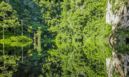 Tasik Cermin: Discover Ipoh’s Enchanting Mirror Lake