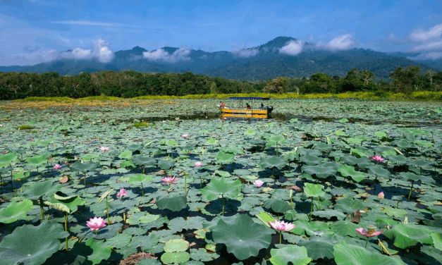 Lenggong Valley: Explore Malaysia’s UNESCO Prehistoric Heritage and the Story of Perak Man