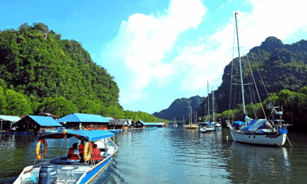 Kilim River Cruise in Langkawi Offers a Scenic Journey Through Malaysia’s Mangrove Wilderness