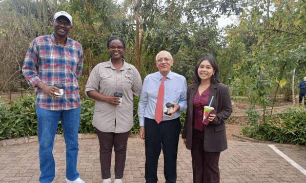 Singapore’s Non-Resident High Commissioner Explores Rwanda–Singapore Sustainability Opportunities
