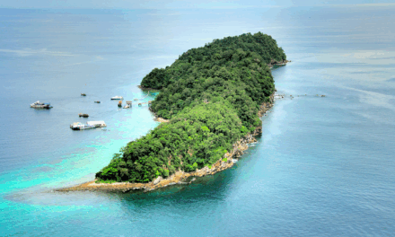 Pulau Payar Marine Park: Discover Langkawi’s Pristine Underwater Sanctuary for Snorkelling and Diving
