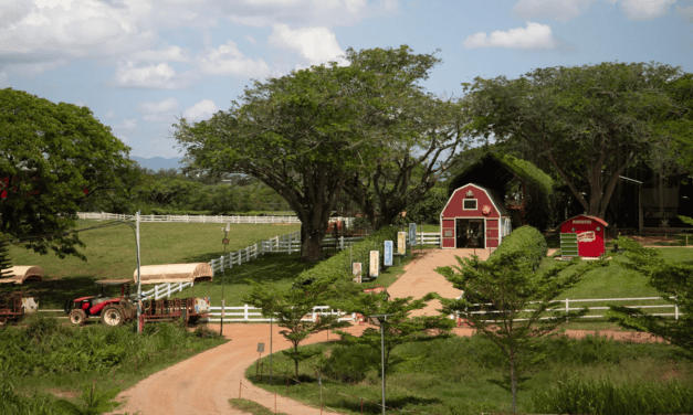 Fun Farms & Petting Zoos in Selangor: Family-Friendly Animal Encounters and Farm Adventures