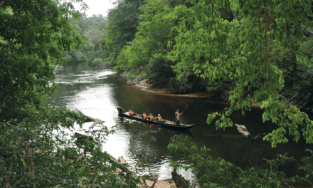 Taman Negara Kuala Koh: A Wild Escape into Kelantan’s Ancient Rainforest