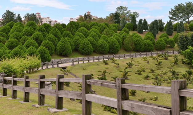 Must-Visit Public Parks in Putrajaya to Discover Nature, Enjoy Recreation and Escape the City