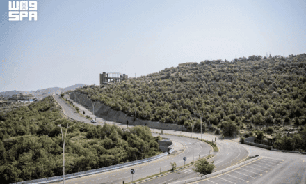 Al-Baha Region Records 105 Forests Covering 221,000 Hectares