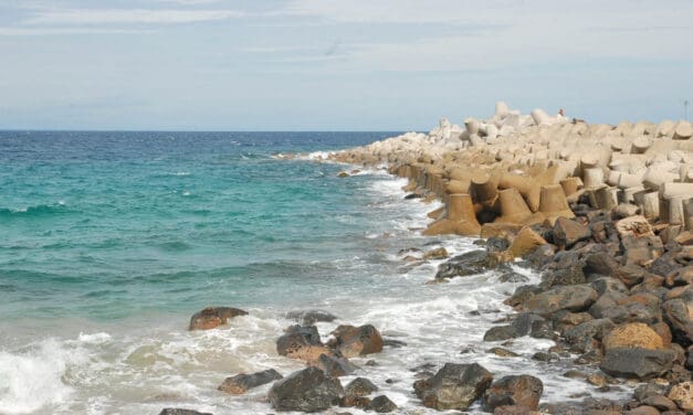 Con Co Island: Discovering the Natural Beauty, and Untouched Landscapes of Vietnam’s Green Gem