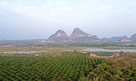 Timah Tasoh Lake: A Scenic Birdwatching Retreat in Perlis